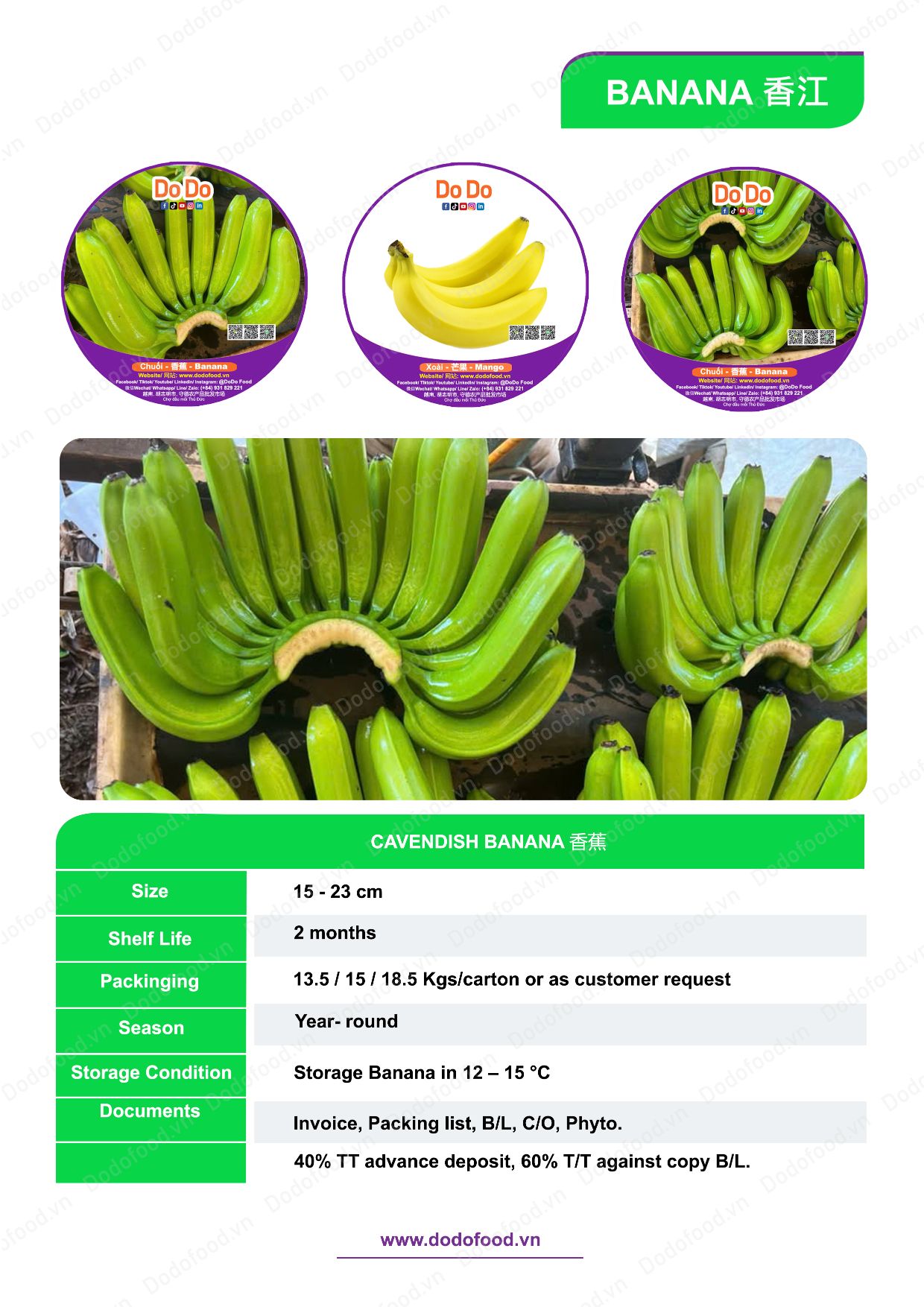 Hồ sơ năng lực DoDo Food — trang 45/52