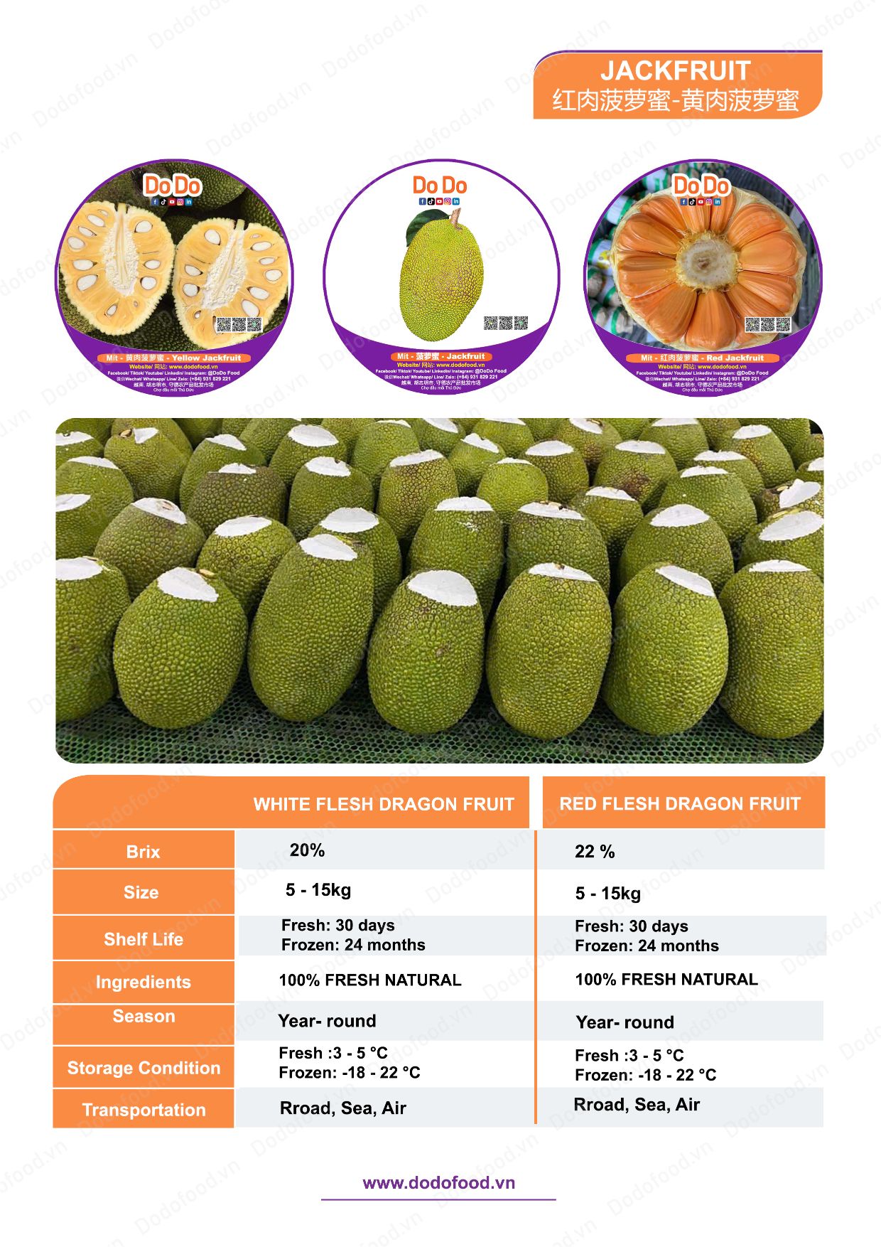 Hồ sơ năng lực DoDo Food — trang 43/52