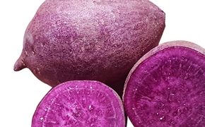 Củ quả nhập khẩu