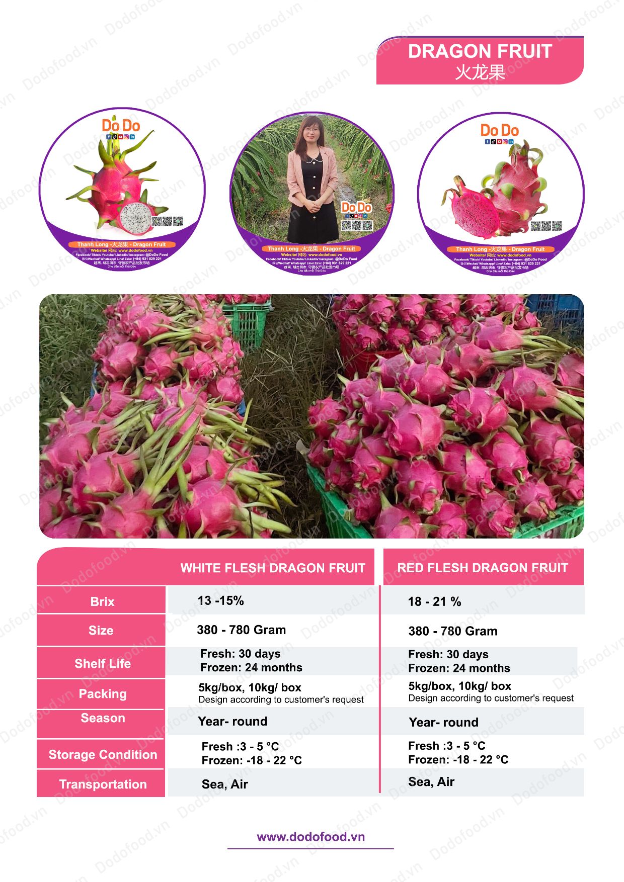 Hồ sơ năng lực DoDo Food — trang 41/52