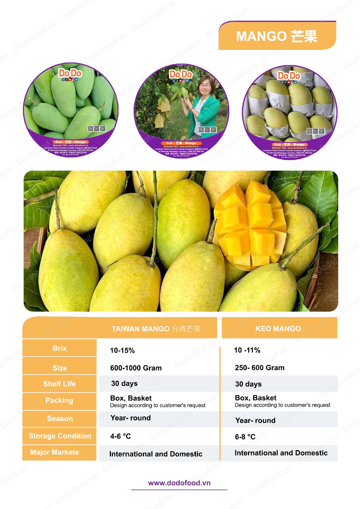Hồ sơ năng lực DoDo Food — trang 39/52