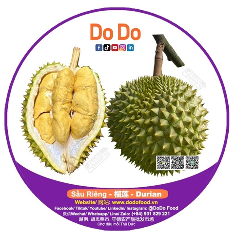 Sầu riêng (榴莲)