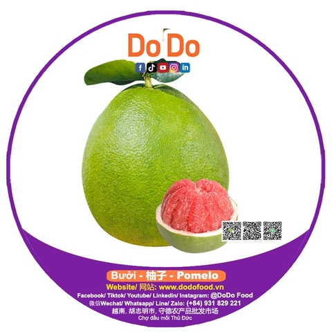 Bưởi (柚子) — ảnh chính diện