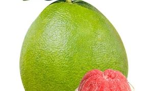 Bưởi (柚子)