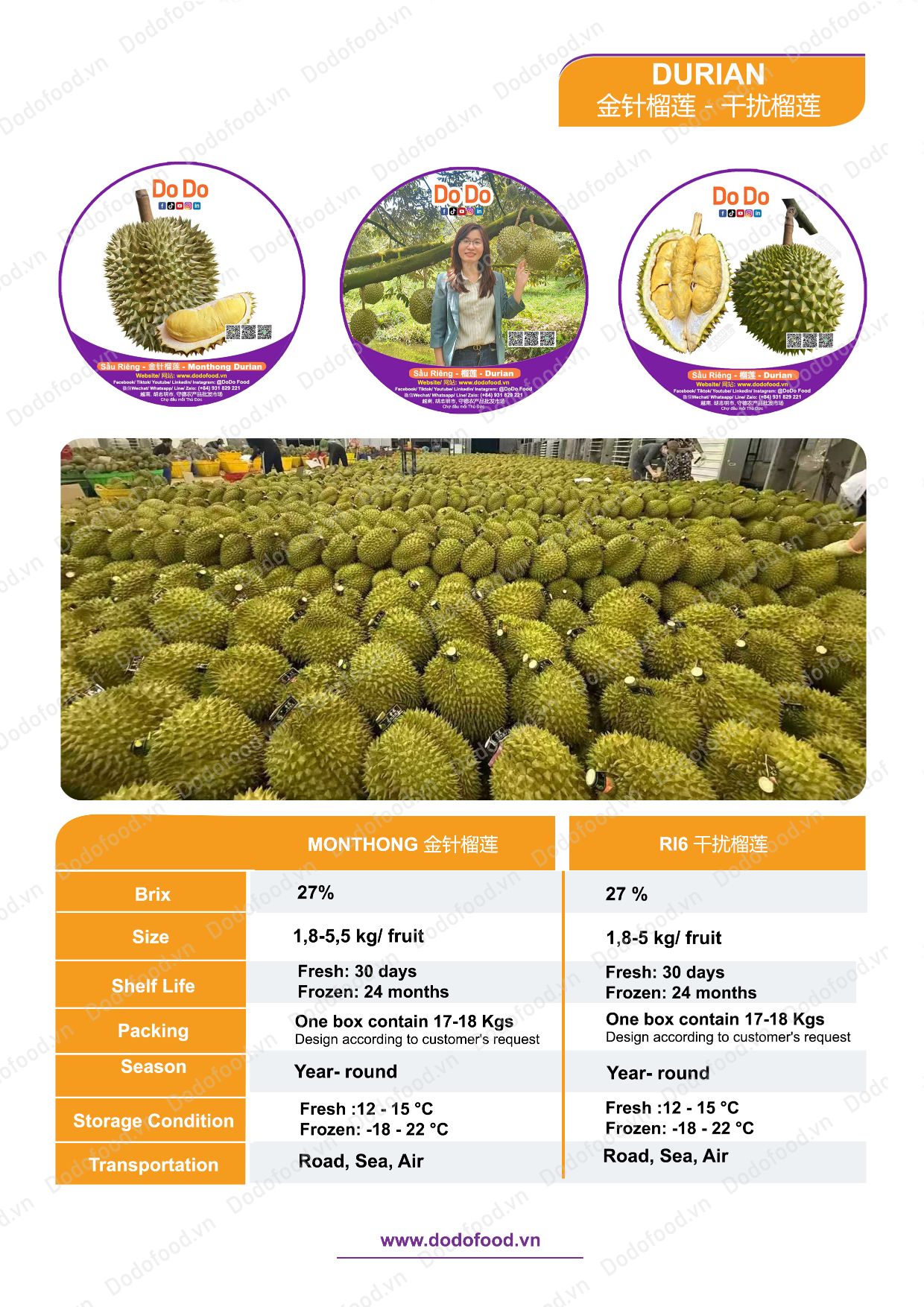 Hồ sơ năng lực DoDo Food — trang 38/52