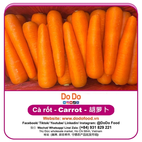 Carrot importing (胡萝卜进口)