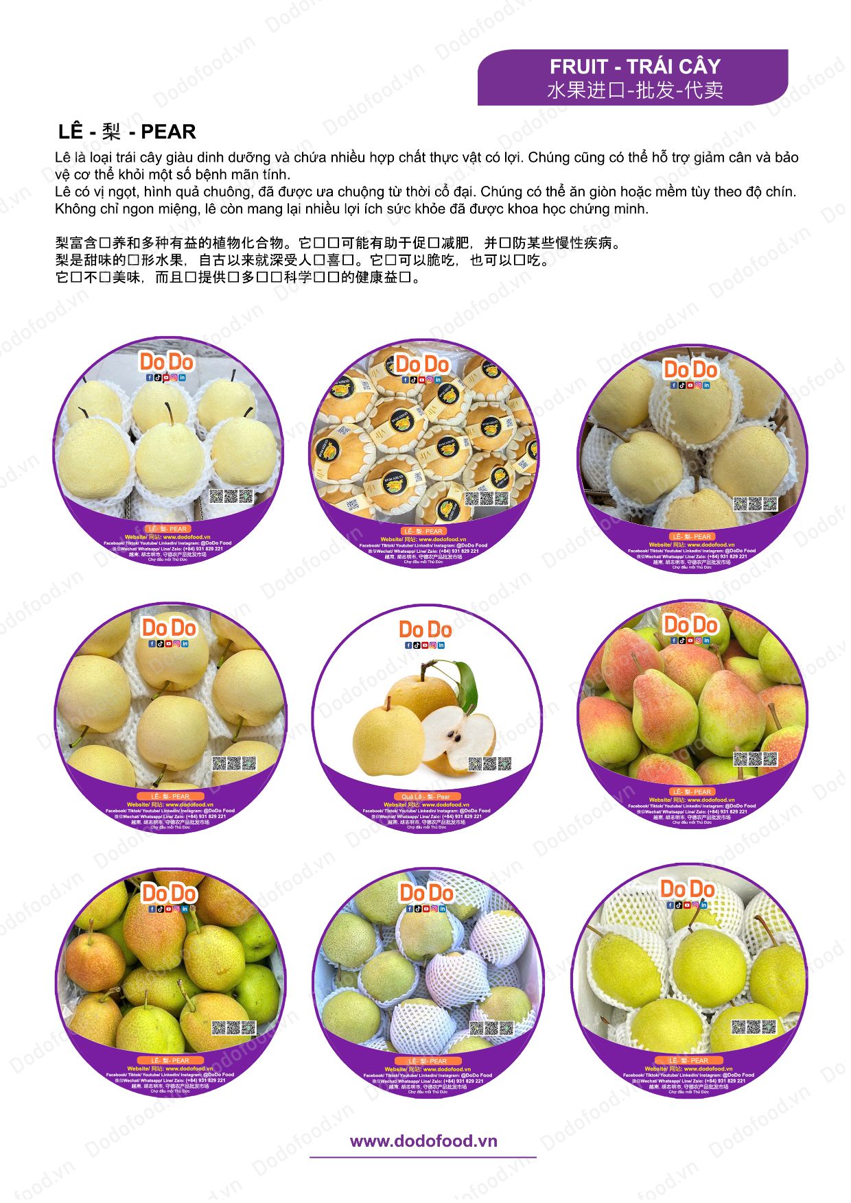 Hồ sơ năng lực DoDo Food — trang 19/52