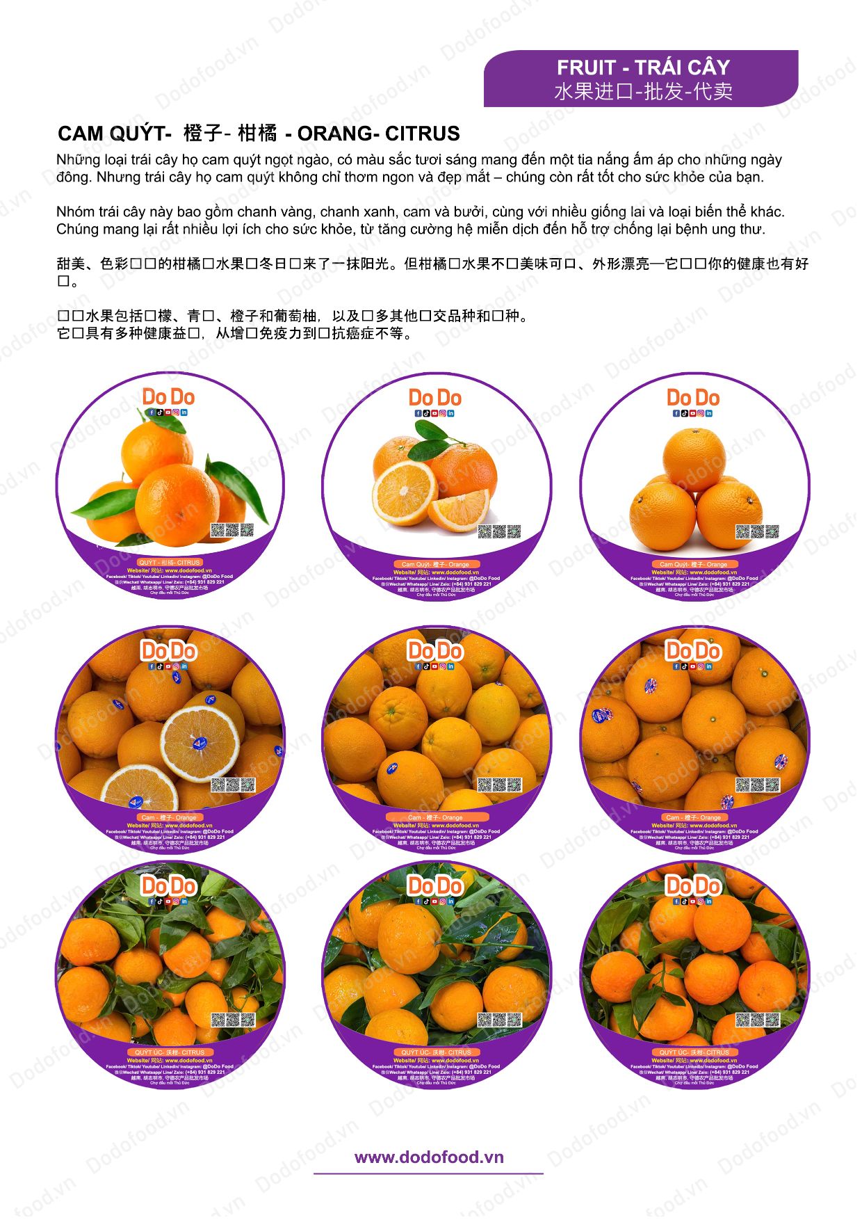 Hồ sơ năng lực DoDo Food — trang 15/52