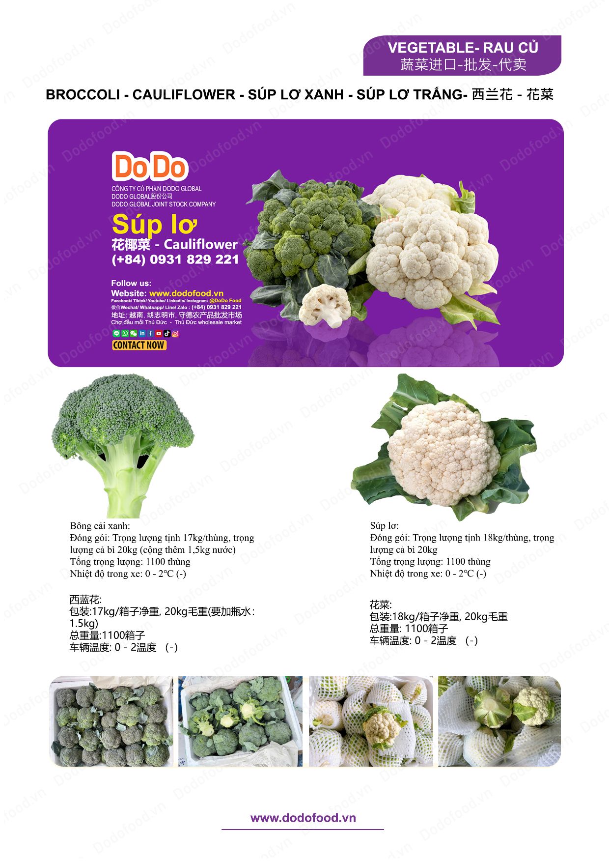 Hồ sơ năng lực DoDo Food — trang 33/52