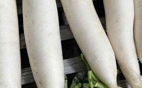 Củ Cải Trắng