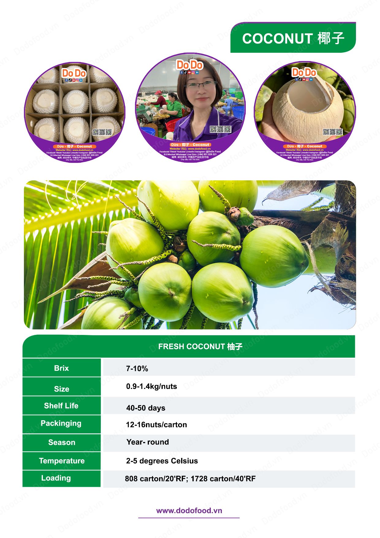 Hồ sơ năng lực DoDo Food — trang 42/52