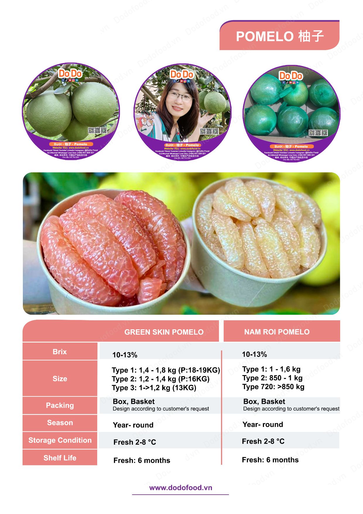 Hồ sơ năng lực DoDo Food — trang 40/52
