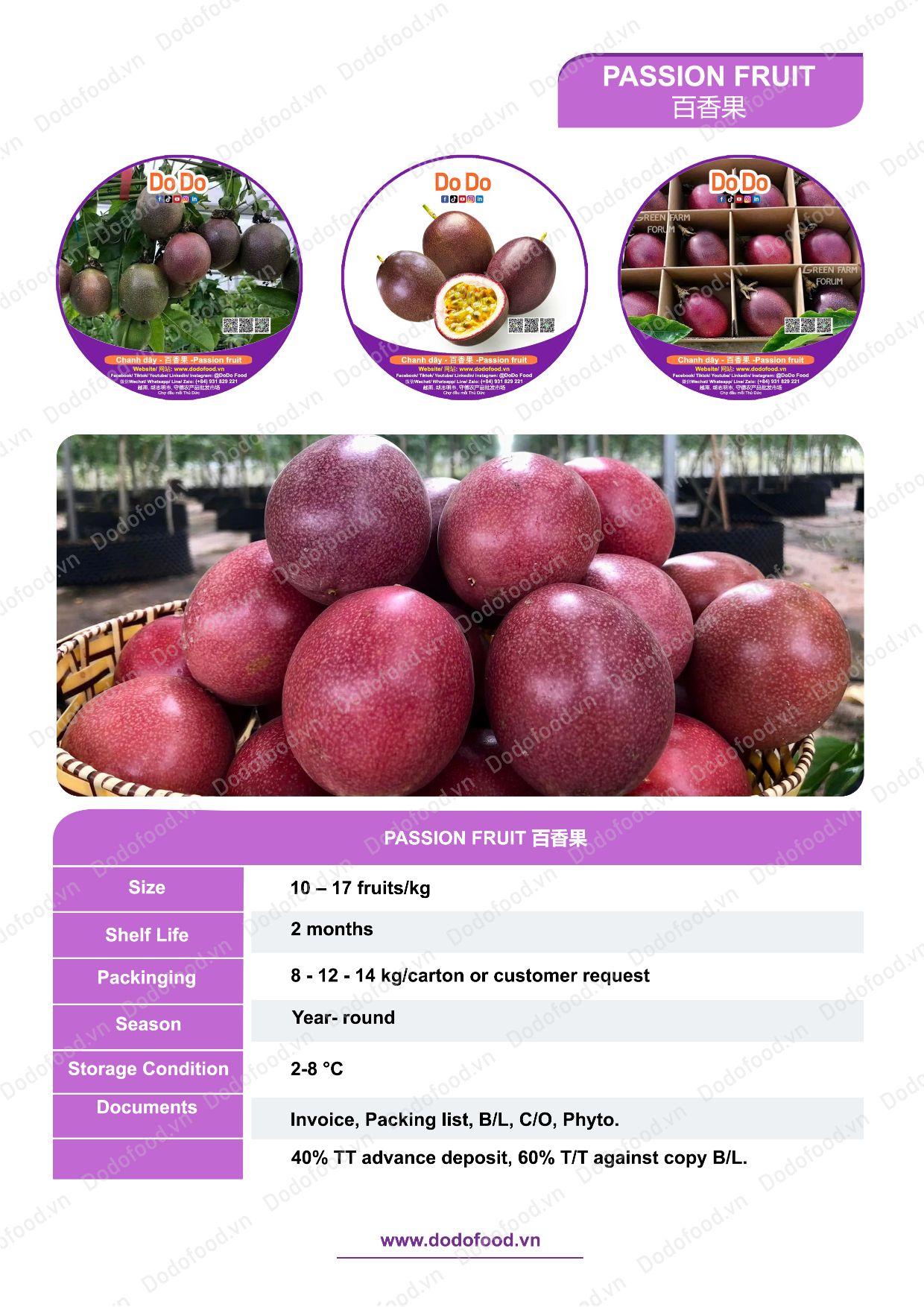 Hồ sơ năng lực DoDo Food — trang 44/52