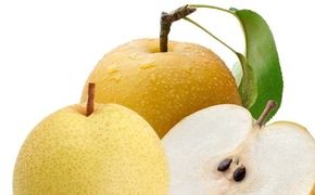 Lê nhập khẩu