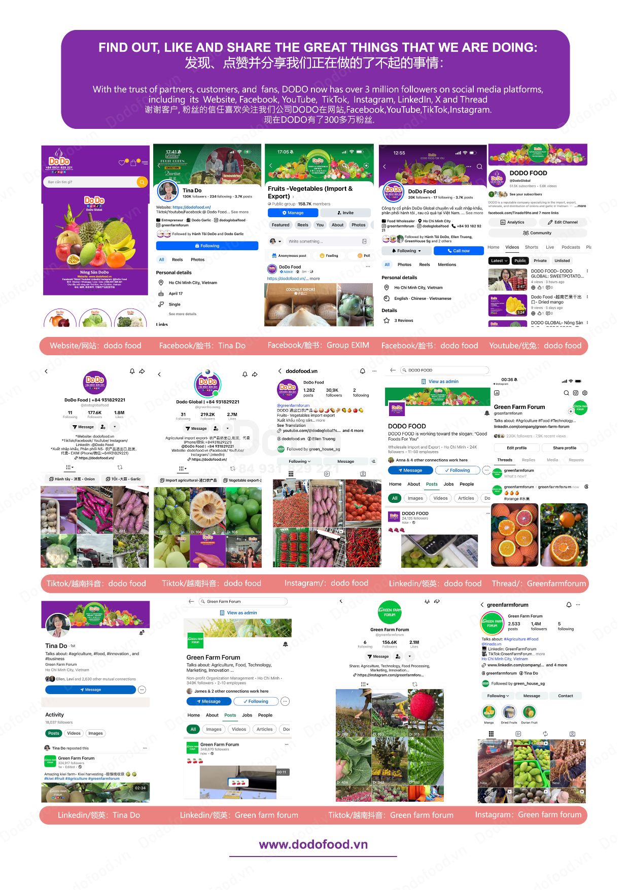 Hồ sơ năng lực DoDo Food — trang 49/52