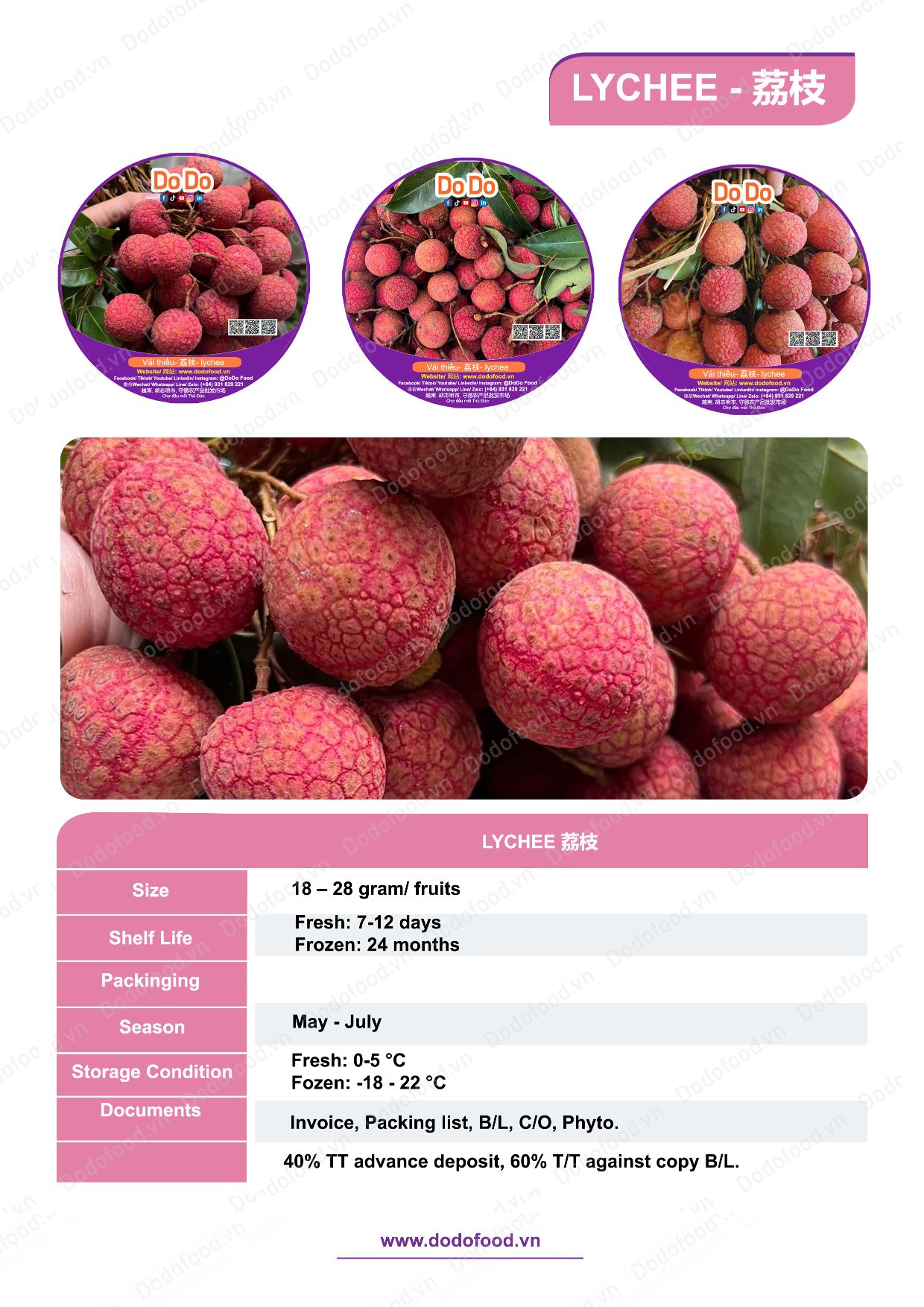 Hồ sơ năng lực DoDo Food — trang 46/52