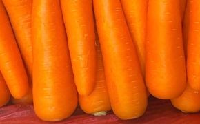 Carrot importing (胡萝卜进口)