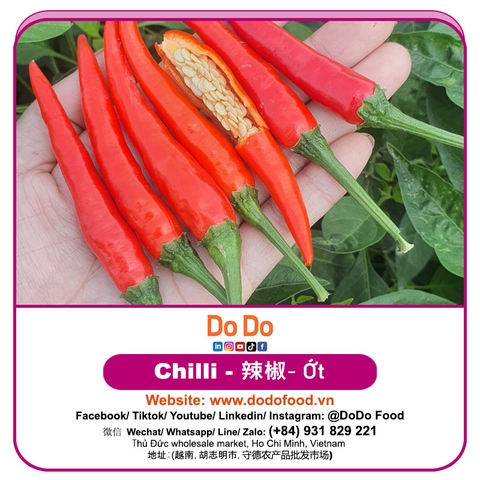 Ớt — ảnh chính diện
